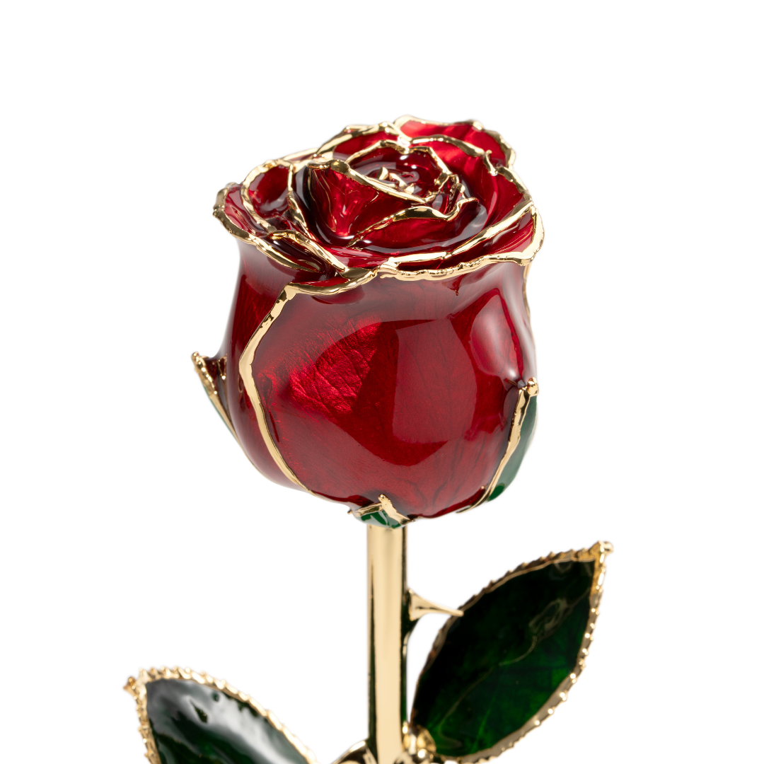 Elegante Roses