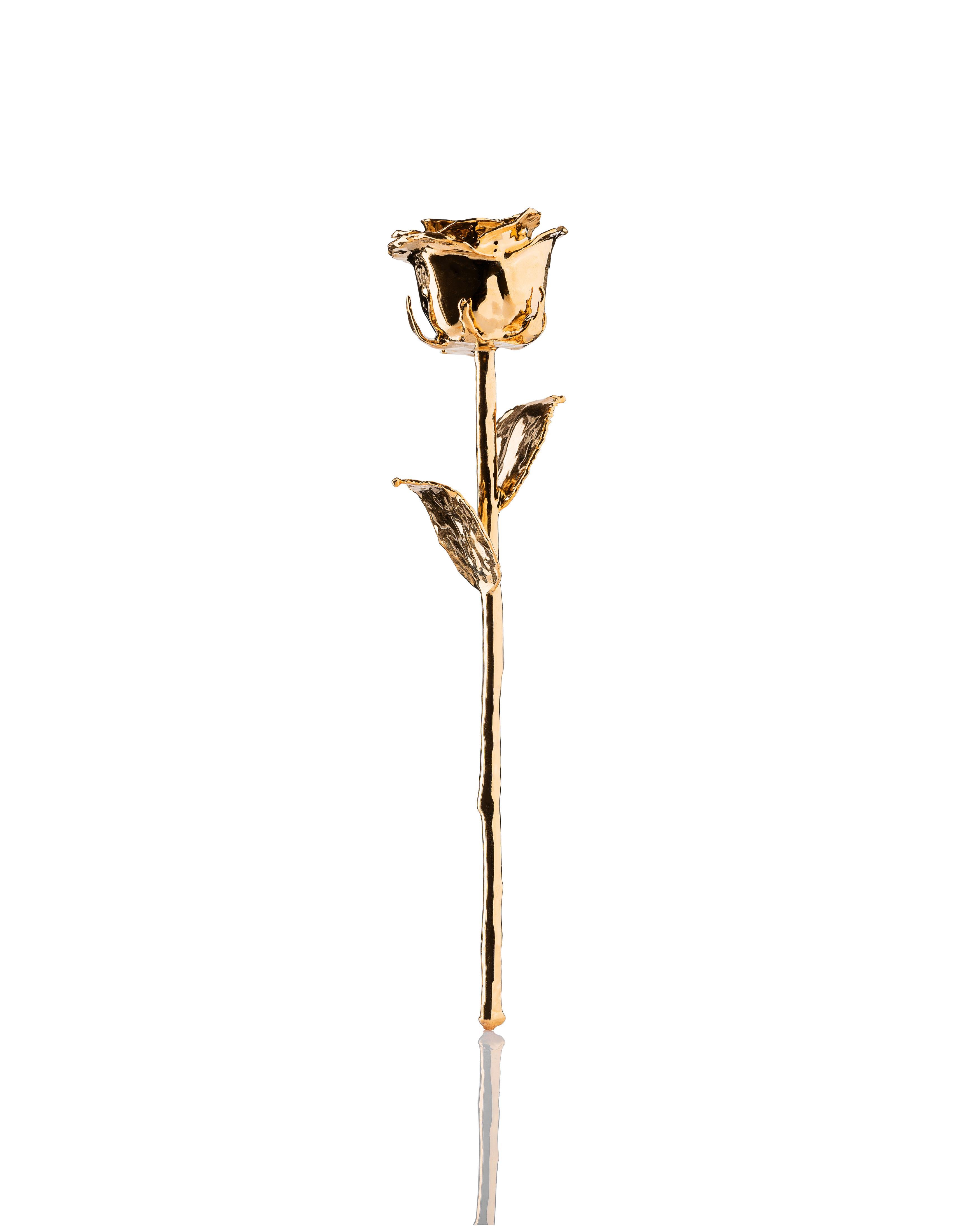 24K Golden Rose - Blanc Edition