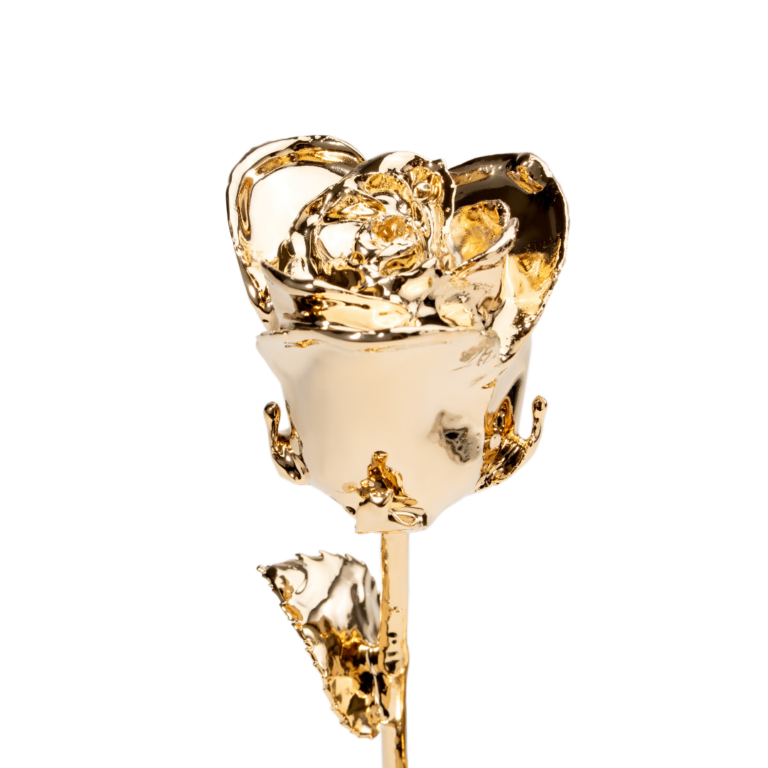 Golden Rose Collection