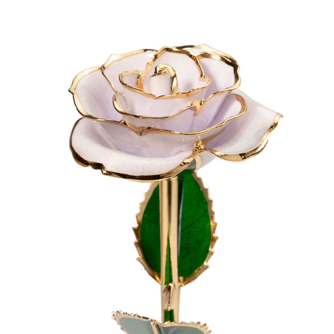 Bliss Roses