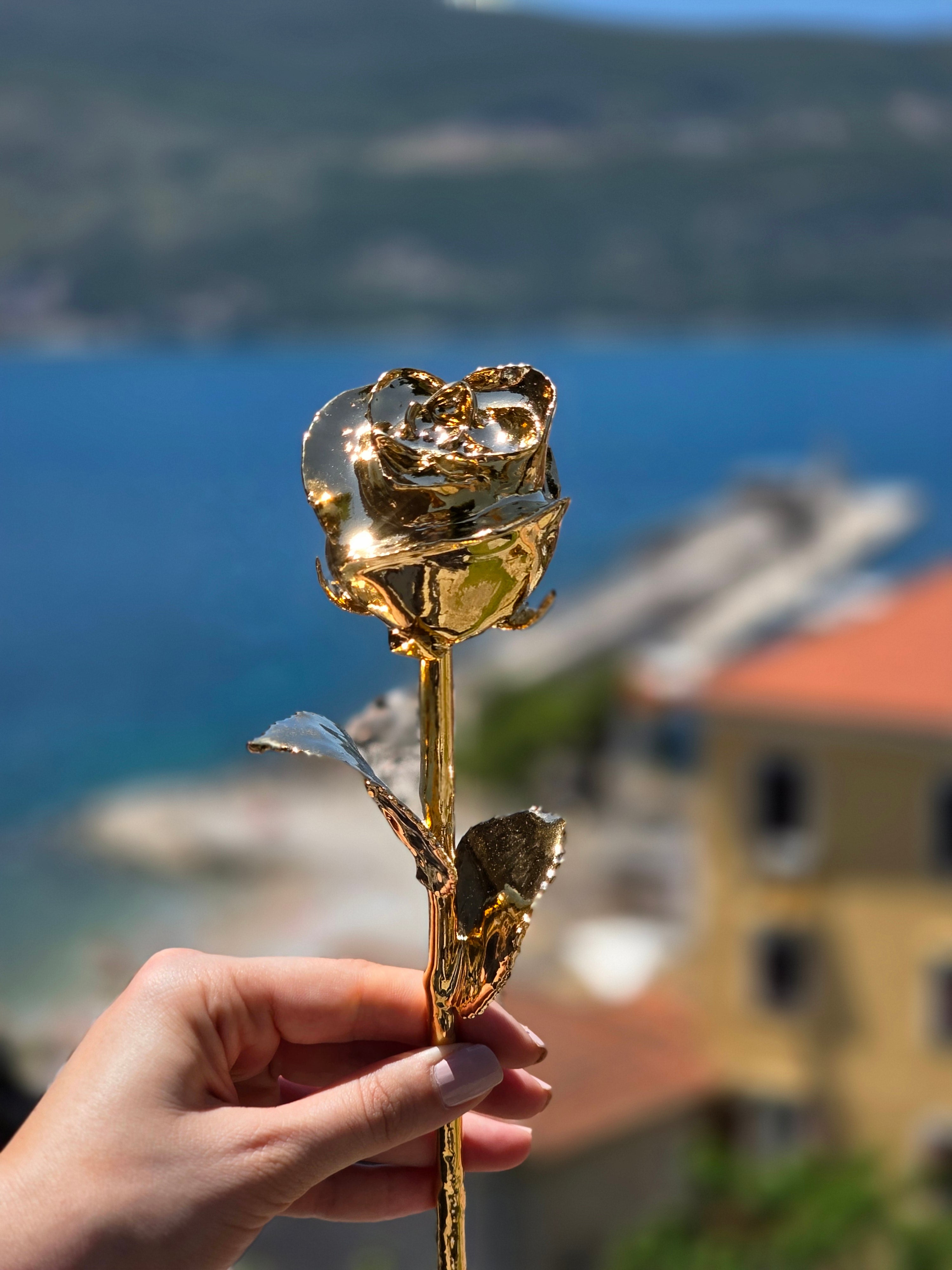 24K Golden Rose - Maison Edition