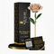 24k Golden Rose - Beige ( Bliss )