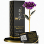 24k Golden Rose - Purple ( Bliss )